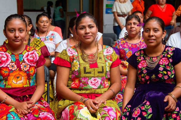¿Cuáles son los grupos indígenas de México?